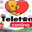 Hoy día es la Primera Teletón Canina en Pucallpa