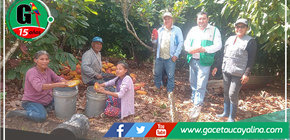 Devida Zonal monitorean actividades del Proyecto Cacao en Campo Verde