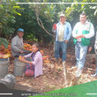 Devida Zonal monitorean actividades del Proyecto Cacao en Campo Verde