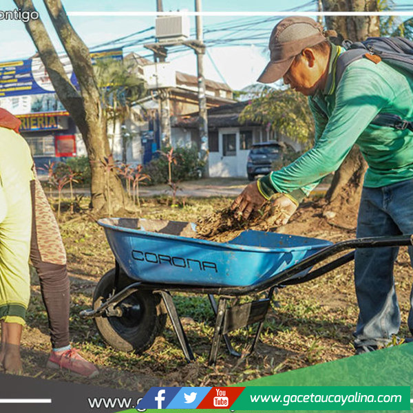 Recuperan espacios de áreas verdes en la Av. Sáenz Peña en la ciudad de Pucallpa