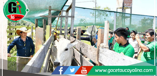 Municipalidad de Sepahua y Tecnológico "Carlos Laborde" ofrecen ciclo de capacitación para ganaderos