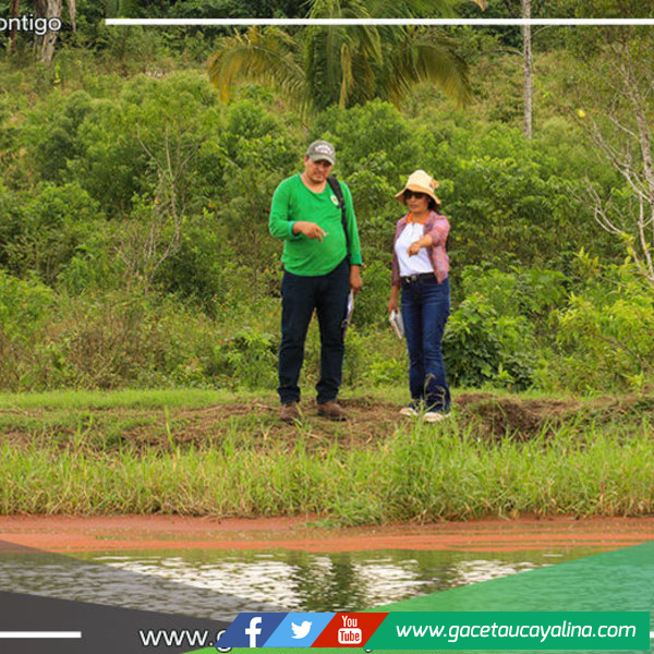 Municipalidad de Contamana e IIAP/Ucayali unen fuerzas para mejorar la piscicultura en la provincia
