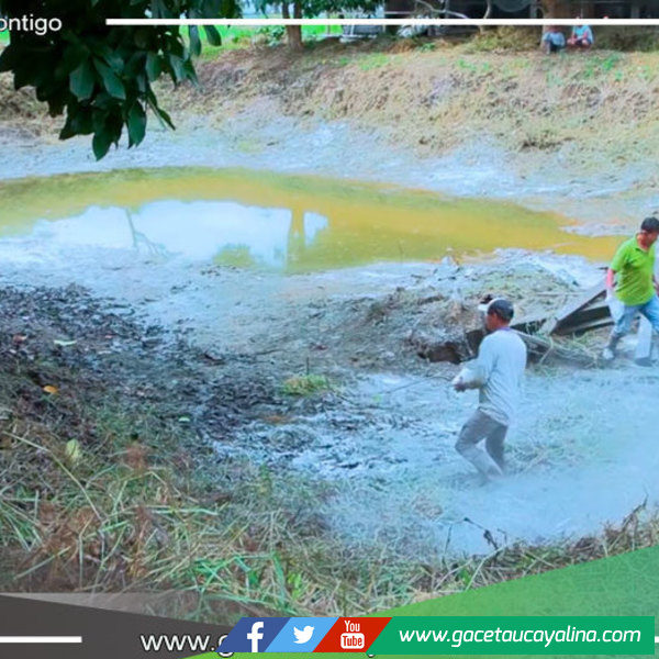 Municipalidad de Sepahua promueve seguridad alimentaria a través de siembra de alevinos de PACO