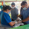 Centro Canino Municipal y colegio médico veterinario inician campaña interna de esterilización a canes albergados