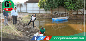 Alcalde John Salcedo Ríos promueve la crianza de peces en pozas municipales 