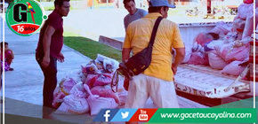 Municipalidad de Sepahua promueve la agricultura mediante parcelas demostrativas propias