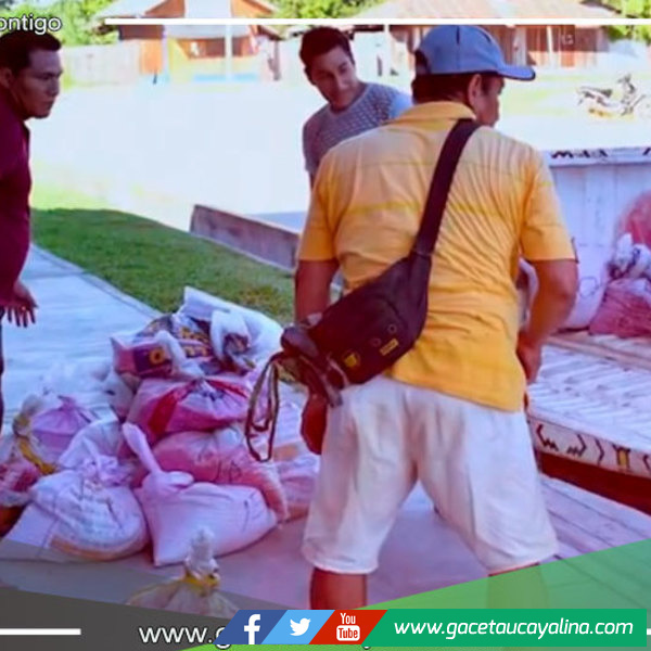 Municipalidad de Sepahua promueve la agricultura mediante parcelas demostrativas propias