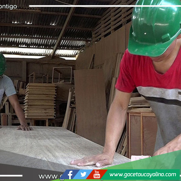 Estado aprobó 16 fichas de homologación de mobiliario escolar de madera obligatorias en licitaciones publicas