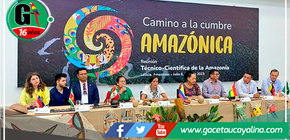 Ministra del Ambiente resalta la importancia de acciones conjuntas para salvar la Amazonía 