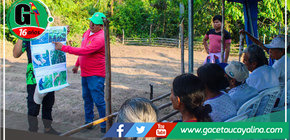 Municipalidad de Tahuania Capacita a Adultos Mayores en Cultivo de Hortalizas para una Vida Sustentable