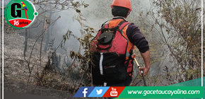 Éxito en la Extinción de Incendio Forestal en Amazonas: Colaboración Interinstitucional Destacada