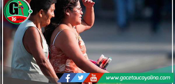 Día feriado en honor a Santa Rosa de Lima con temperaturas máximas sobre 36 °C en la selva norte y central