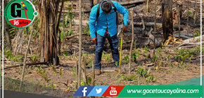 MPU lidera Iniciativa Ambiental: Instalación de 1,000 Bolainas para Preservar Ecosistemas