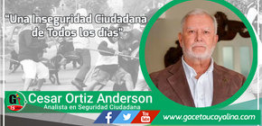 Una Inseguridad Ciudadana de Todos los días