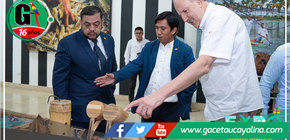 Inician proyecto de bambú para potenciar su producción en Piura, Cajamarca y Amazonas