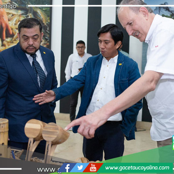 Inician proyecto de bambú para potenciar su producción en Piura, Cajamarca y Amazonas