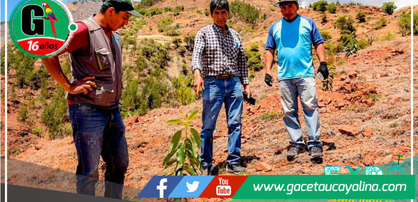 Declaran en emergencia a 544 distritos por peligro inminente ante déficit hídrico