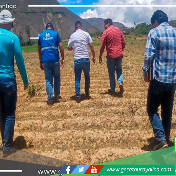 Inician estudios de preinversión para nuevo hospital Essalud 