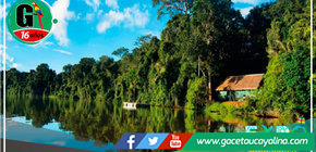 Expertos evalúan estrategia para recuperar el pulmón del planeta 