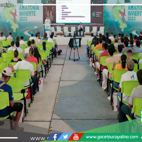 7 regiones de Amazonía presentan proyectos por S/ 14,000 millones 