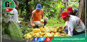 ADEX: Disminución en la exportación de productos en cinco regiones de la selva 