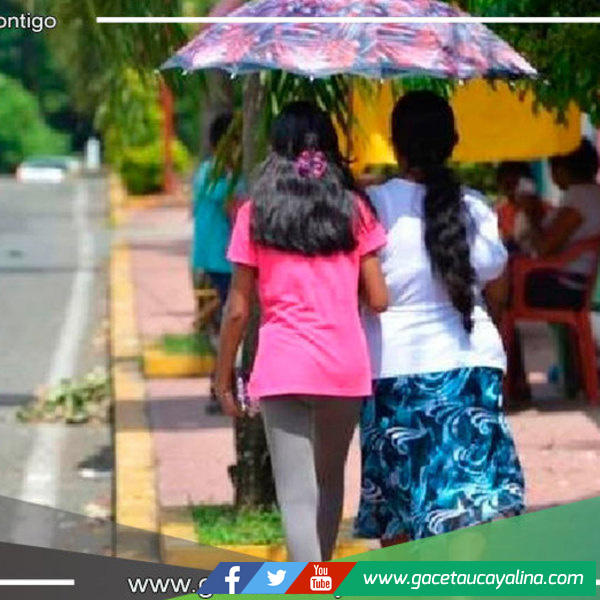 San Martín: Bellavista soportó temperatura extrema de 39.2 °C