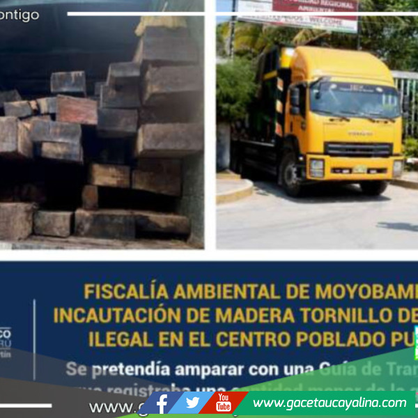 FEMA de Moyobamba toma medidas drásticas: Confisca 2750 pies tablares de madera tornillo de origen ilícito