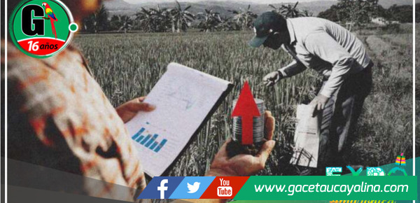 San Martín experimenta un impresionante aumento del 1.8% en su producción en el segundo trimestre del 2023