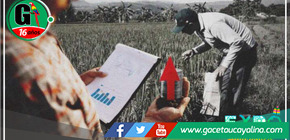 San Martín experimenta un impresionante aumento del 1.8% en su producción en el segundo trimestre del 2023