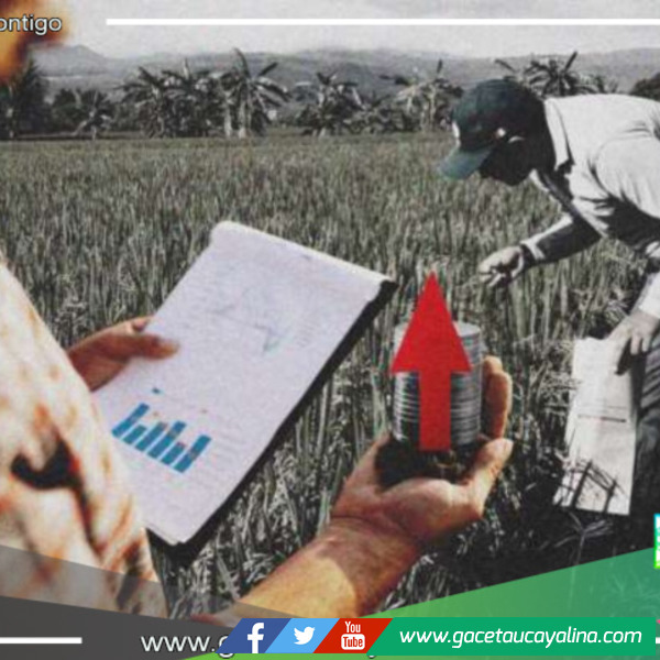 San Martín experimenta un impresionante aumento del 1.8% en su producción en el segundo trimestre del 2023