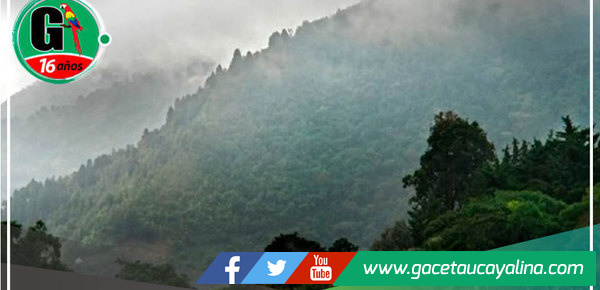 Décimo tercer friaje del año impactará la Selva peruana con descenso de temperatura y lluvias