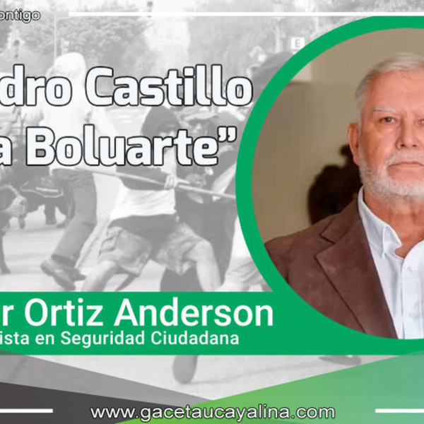 De Pedro Castillo a Dina Boluarte