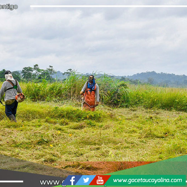 El municipio de Sepahua, bajo la Dirección de John Harold Salcedo Ríos, Embellece y Asegura el Entorno Urbano
