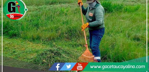 Faenas de Cultivo y Limpieza en Parques: Compromiso de la Subgerencia de Limpieza Pública de Manantay