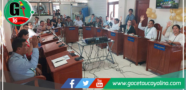 Definen comisiones de regidores 2024 y aprueba proceso de  convocatoria de presupuesto participativo en Yarinacocha