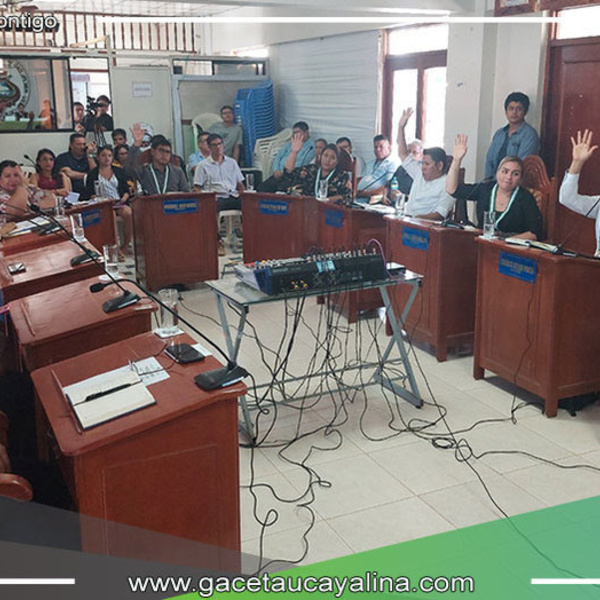Definen comisiones de regidores 2024 y aprueba proceso de  convocatoria de presupuesto participativo en Yarinacocha