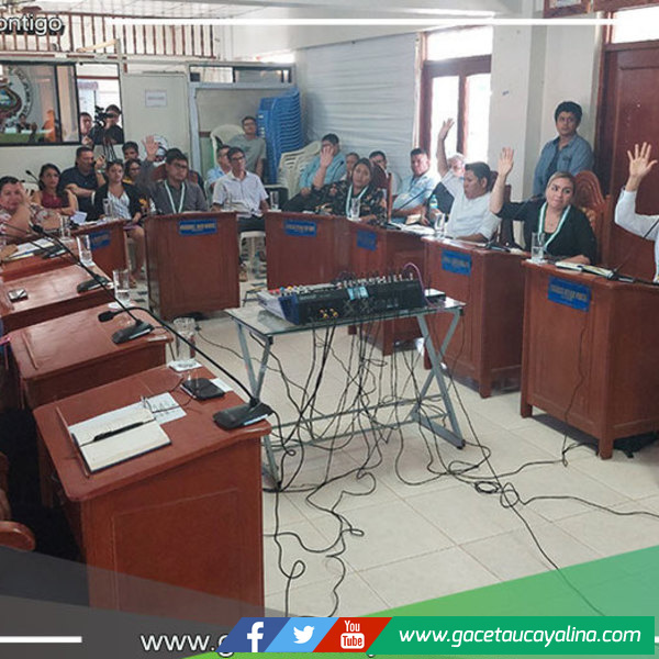 Definen comisiones de regidores 2024 y aprueba proceso de  convocatoria de presupuesto participativo en Yarinacocha