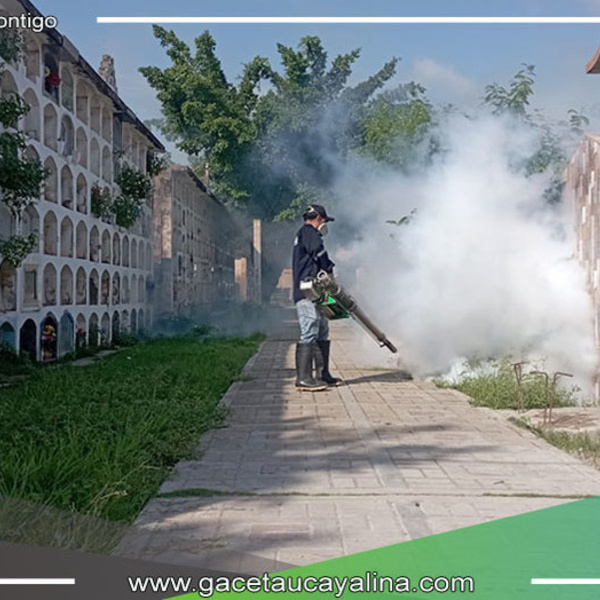 Fumigación coordinada de la Municipalidad Provincial y DIRESA para combatir al Aedes aegypti