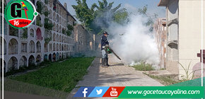 Fumigación coordinada de la Municipalidad Provincial y DIRESA para combatir al Aedes aegypti