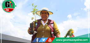 Campaña de forestación del Gore Cusco alcanzó más del 50% de avance 