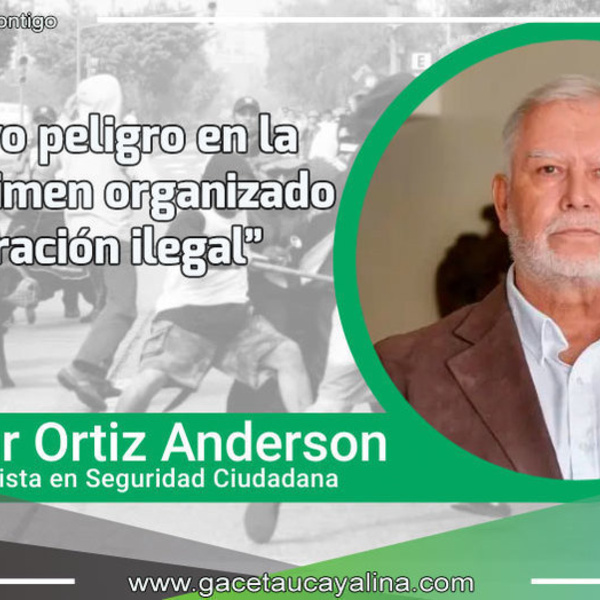 El nuevo peligro en la región. Crimen organizado y migración ilegal