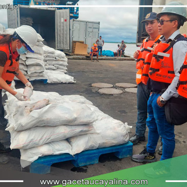 Descubren 61 toneladas de pescado en estado crítico durante operativo en puertos de Loreto