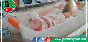 Emprendedores amazónicos, ¡aprenderán a transformar la piel de los peces en cuero en un taller gratuito!