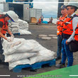 Descubren 61 toneladas de pescado en estado crítico durante operativo en puertos de Loreto