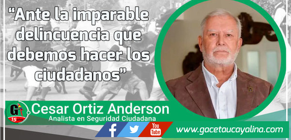 Ante la imparable delincuencia que debemos hacer los ciudadanos