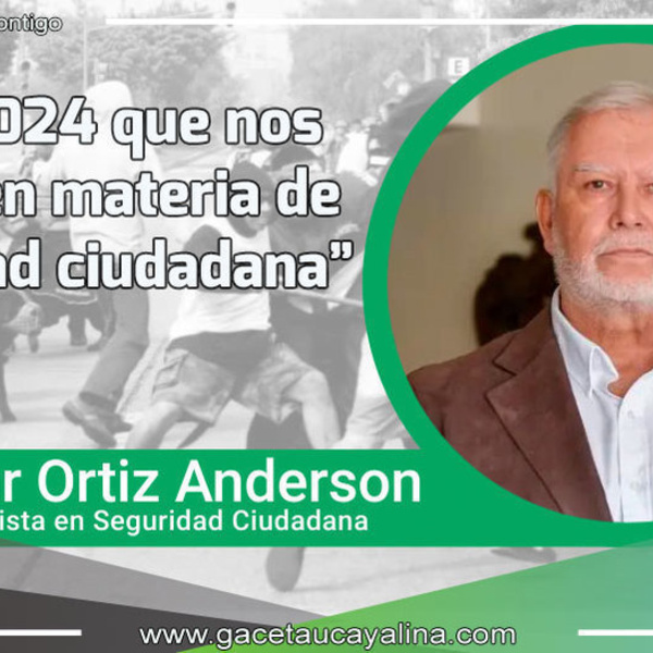 Este 2024 que nos espera en materia de seguridad ciudadana