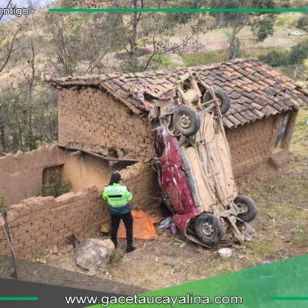 Huánuco: Falla mecánica causa la muerte de madre e hijo en accidente vehicular