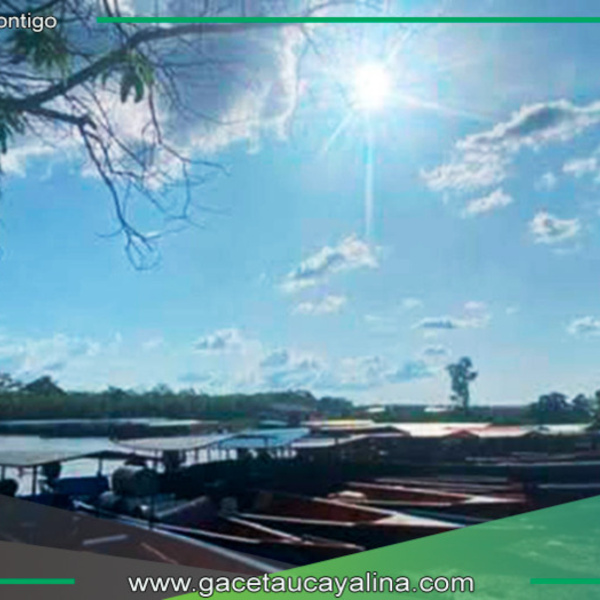 Temperatura matutina en la Selva pasará los 34 °C esta semana ¡A cuidarse! 