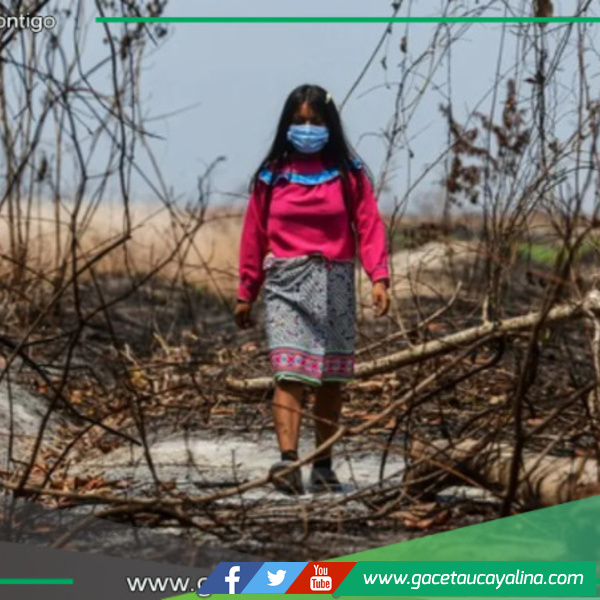Unicef: niños en riesgo por incendios y sequía en la Amazonía peruana