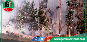 INDECI reporta 20 incendios forestales activos y 29 controlados